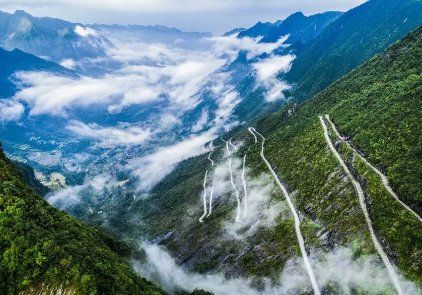 西顧·望城山居，闖入仙境等待一場花開的心動