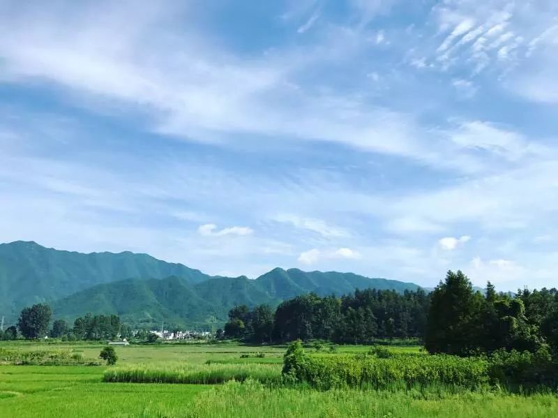 黃山·東田別野，日出而作日落而息的時光野