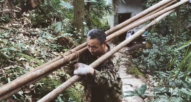 成都·坐忘森林，一宿一悟在火鍋之城住森林里