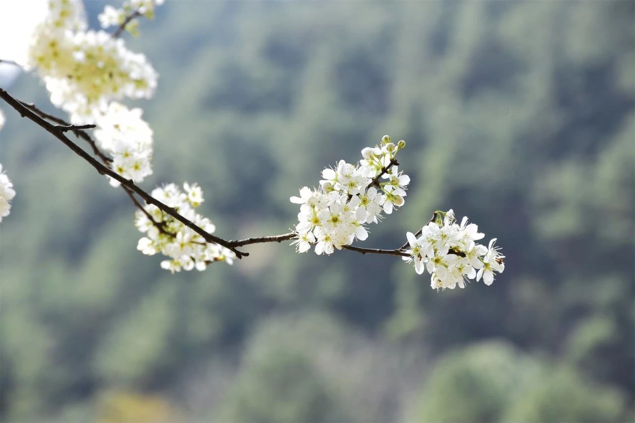 桐廬·水喜，太陽東升西落便是一天的標(biāo)記