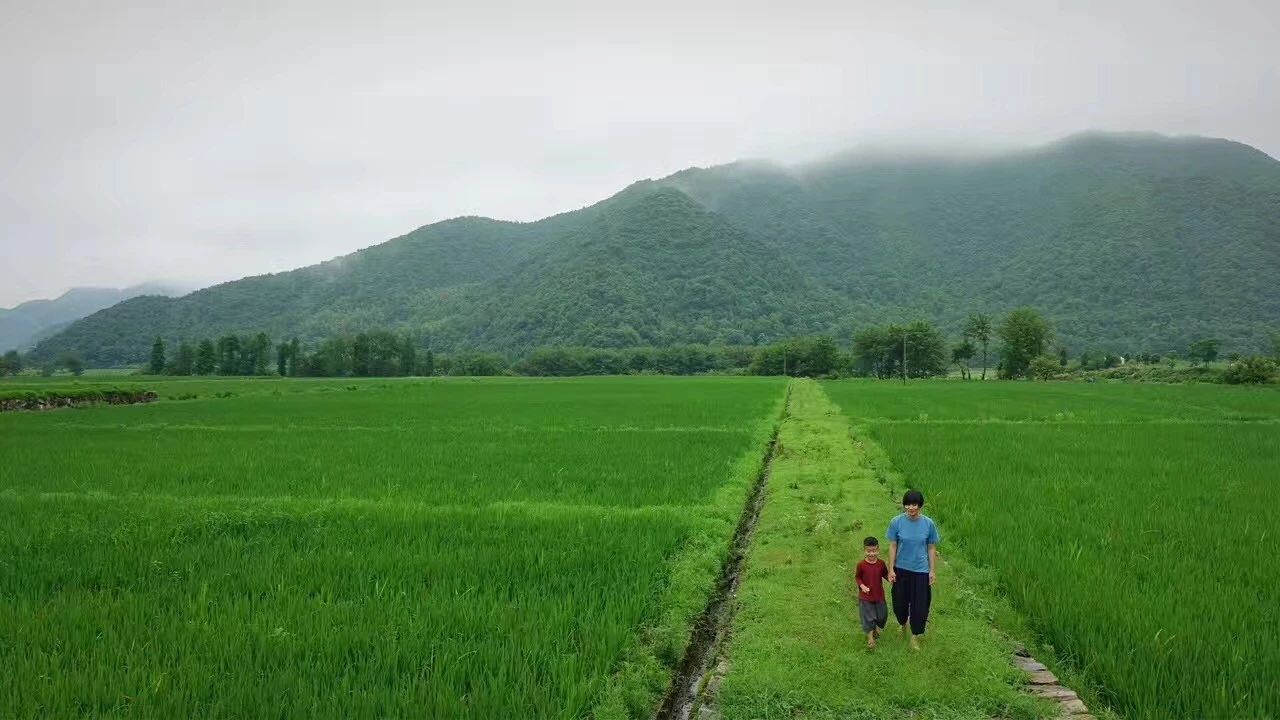 臺州臨?！げ菟?，骨子里流淌的鄉(xiāng)愁烙印