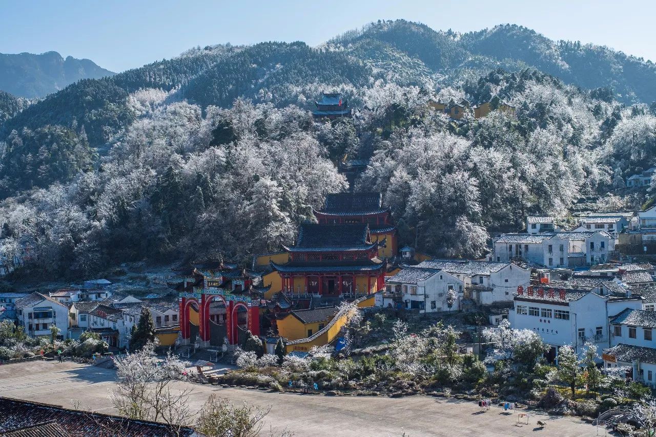 九華山·清竹里，延續(xù)和分享茶文化禪文化