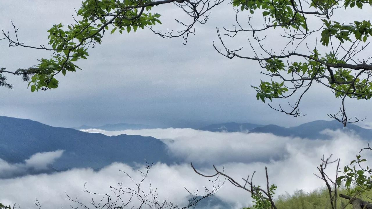 杭州·菩提谷，與你一起私有群山秘境