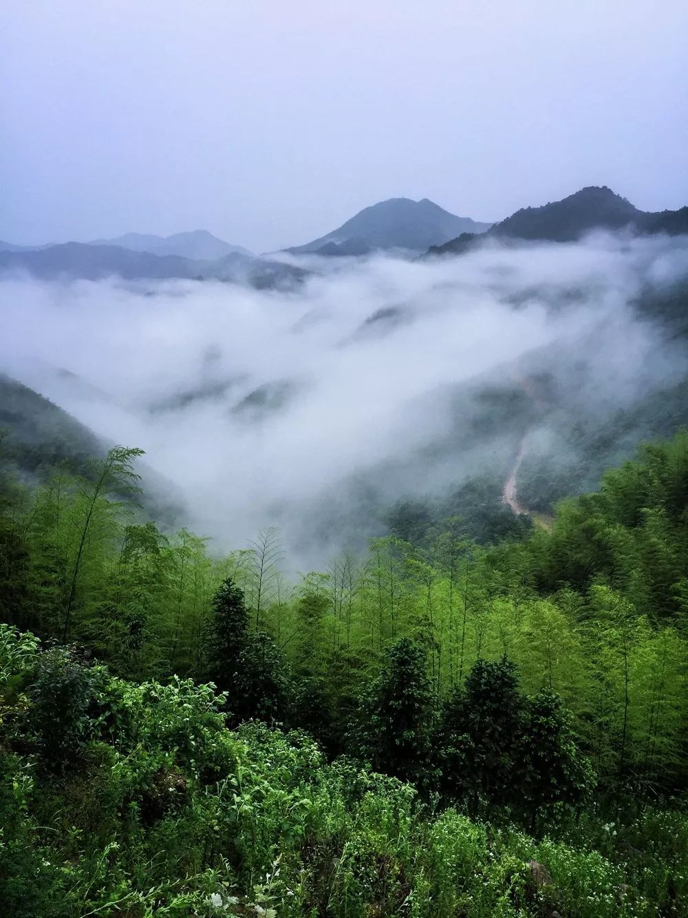 過云山居·長(zhǎng)丘田，躺在浴缸里摘朵云