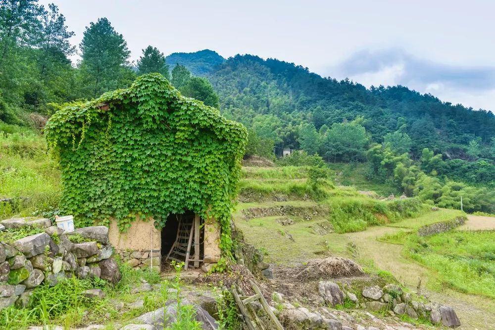 過云山居·長(zhǎng)丘田，躺在浴缸里摘朵云