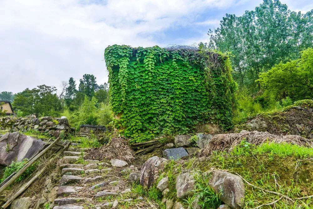 過云山居·長(zhǎng)丘田，躺在浴缸里摘朵云