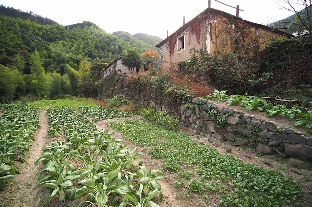 杭州·蓮社溪客，不妥協(xié)的人生才比較有趣