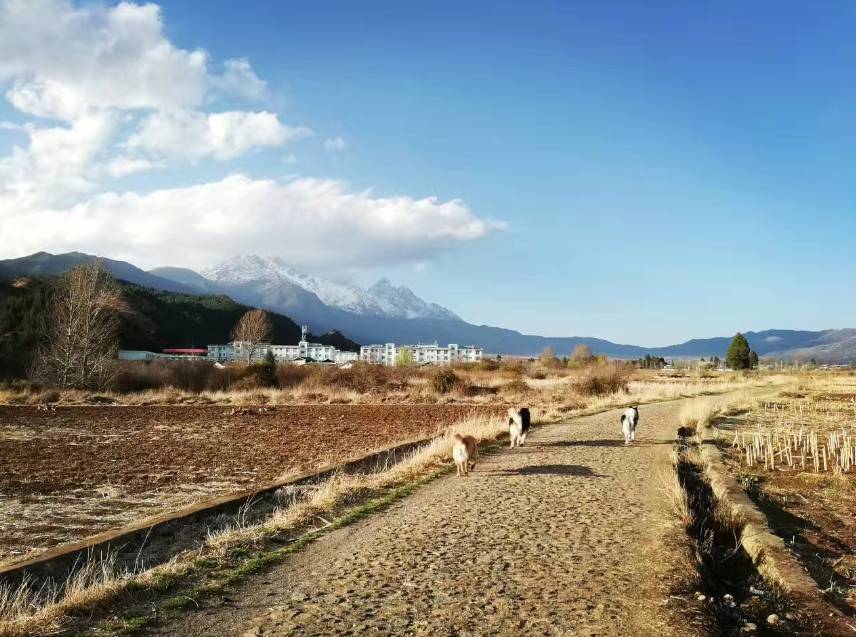 麗江束河·雲(yún)山南，相愛真的是一種奇跡