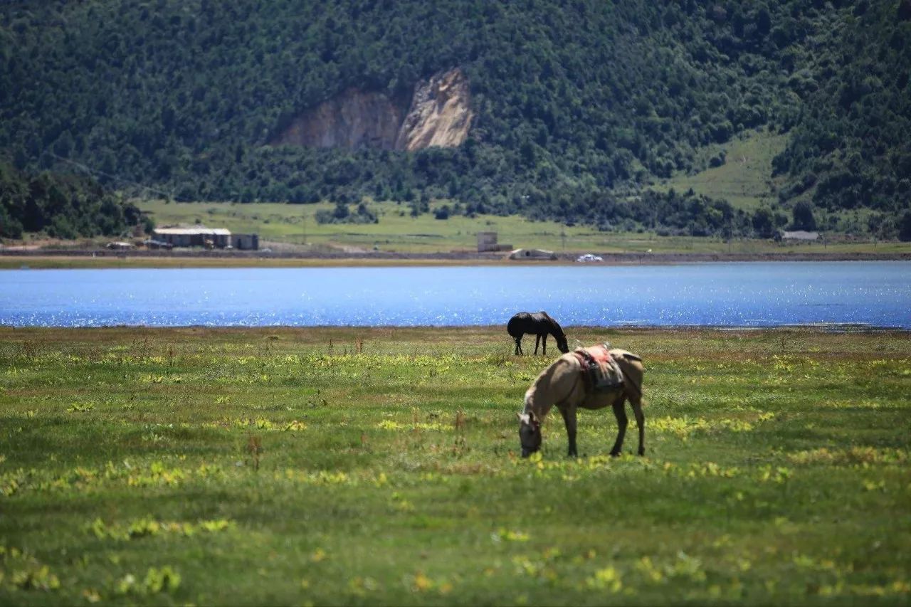 麗江束河·雲(yún)山南，相愛真的是一種奇跡