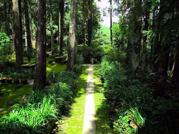 “中國最美寺院”寂照庵，房子象征著家是情感