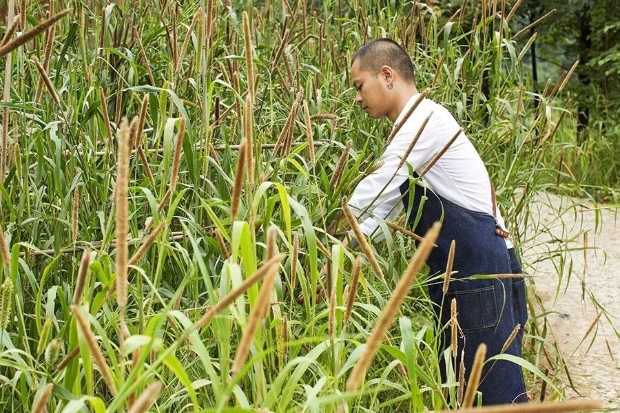 青城山·路之青城，山溝里的豬圈民宿