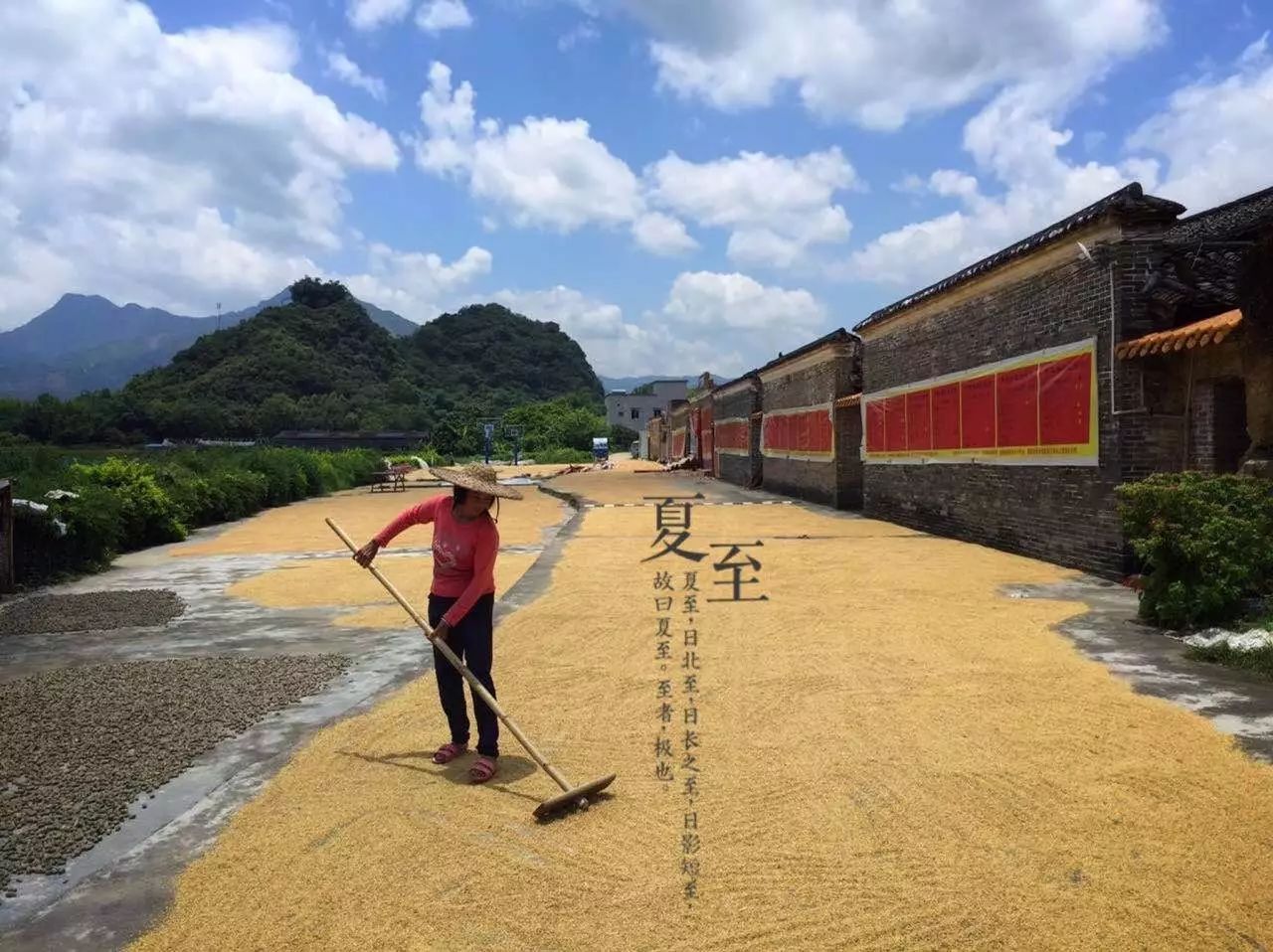 桃花壹號(hào)，靜下來(lái)品味生活最美的那一面