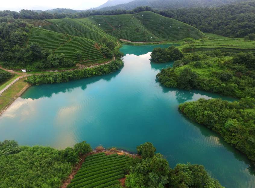 茗墅茶莊園，西湖以外的西湖