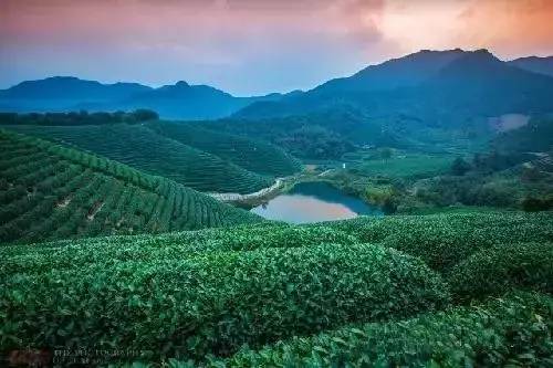 瓜洲云裳山村，春風(fēng)又綠江岸春