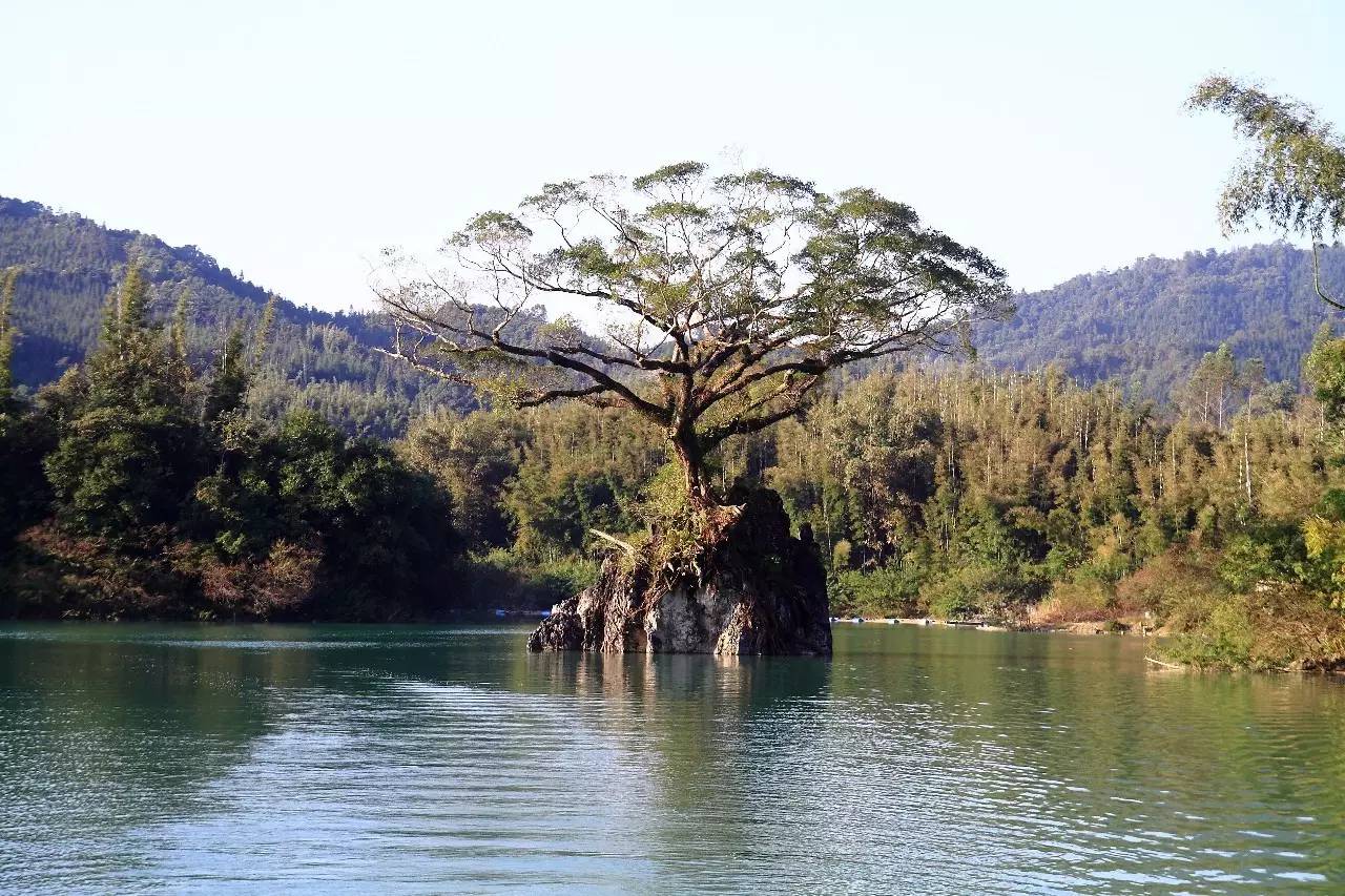 天堂山鄉(xiāng)愛樹民宿，古色古香的童話小鎮(zhèn)