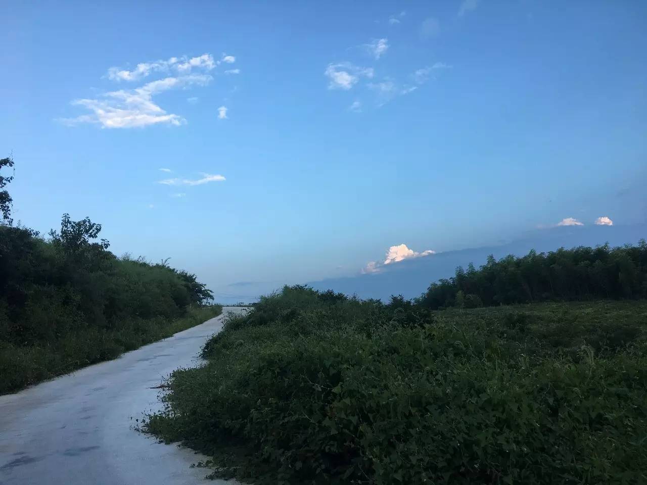 杭州山舍民宿，喝一壺茶聞桂花十里飄香