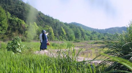 新安江畔谷掌民宿，莊園里享受青山環(huán)繞的美景