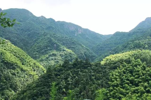 不舍·野馬嶺中國村民宿，樂在其中不忘初心