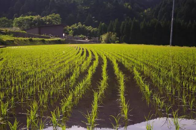 熹園茶宿，禪茶一宿悠然山水間