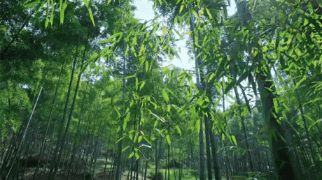 熹園茶宿，禪茶一宿悠然山水間