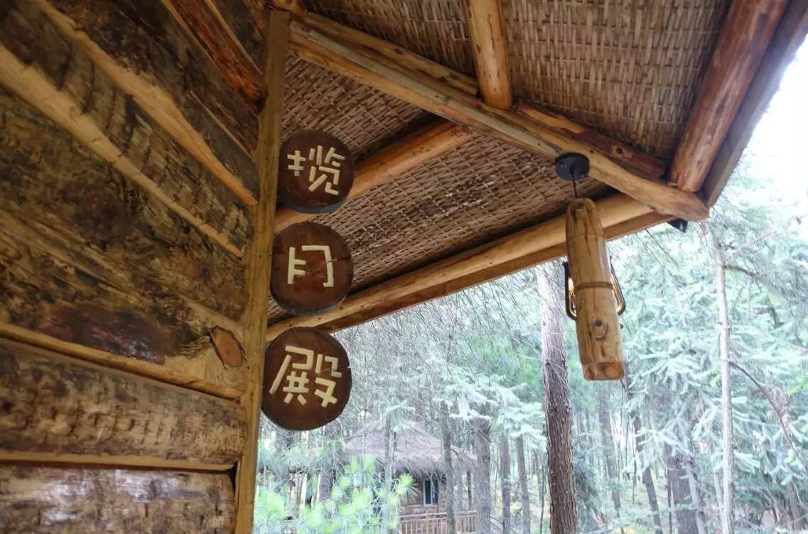 大來山樹屋民宿，喚醒古老村莊留住青山綠水