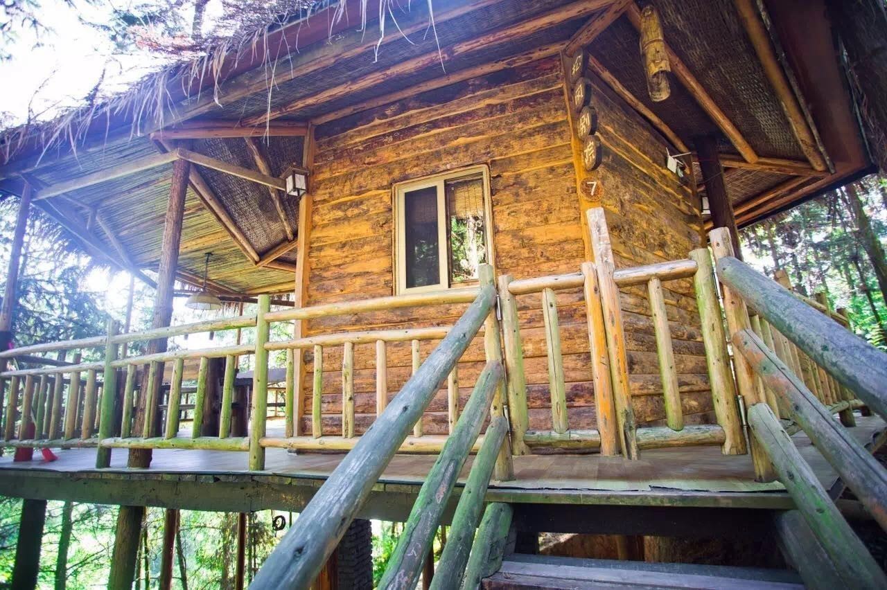 大來山樹屋民宿，喚醒古老村莊留住青山綠水