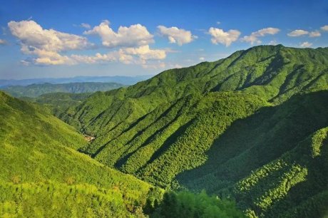 竹里云溪民宿設(shè)計，回歸田園