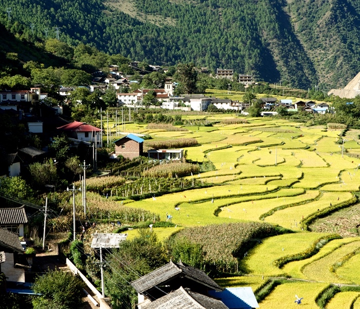 香格里拉松贊茨中民宿