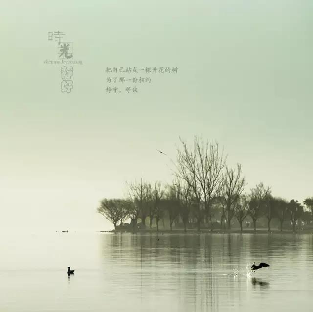 風(fēng)景攝影作品時光靜好：邛海景色！