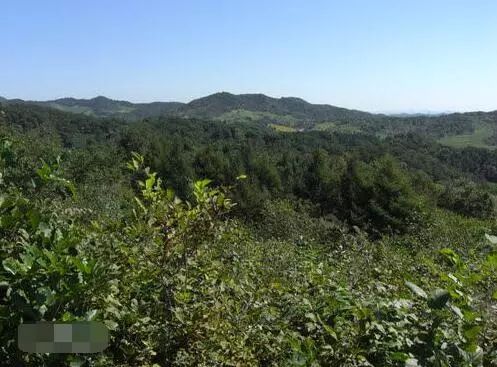 長白山余脈在昌圖，三省交界風景最美地