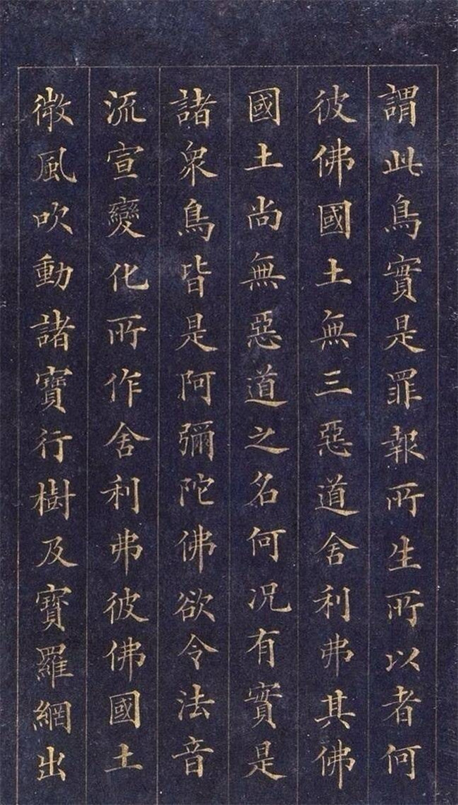 林則徐楷書《無量壽經(jīng)》欣賞