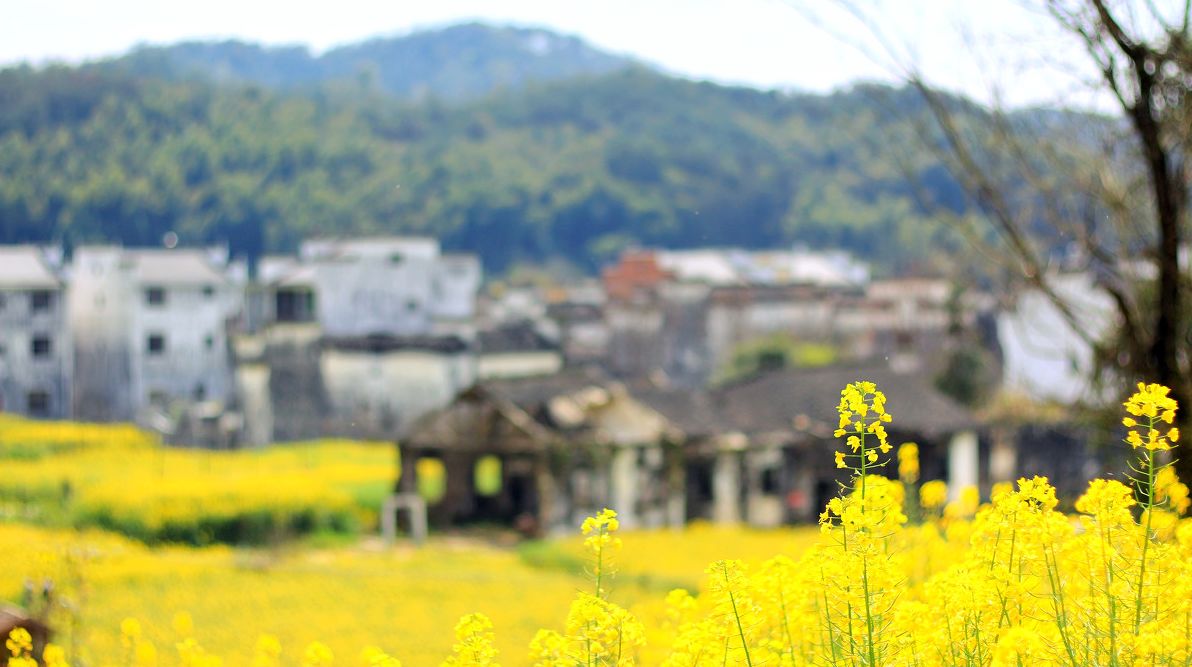 夢(mèng)回西江，南昌，廬山，婺源