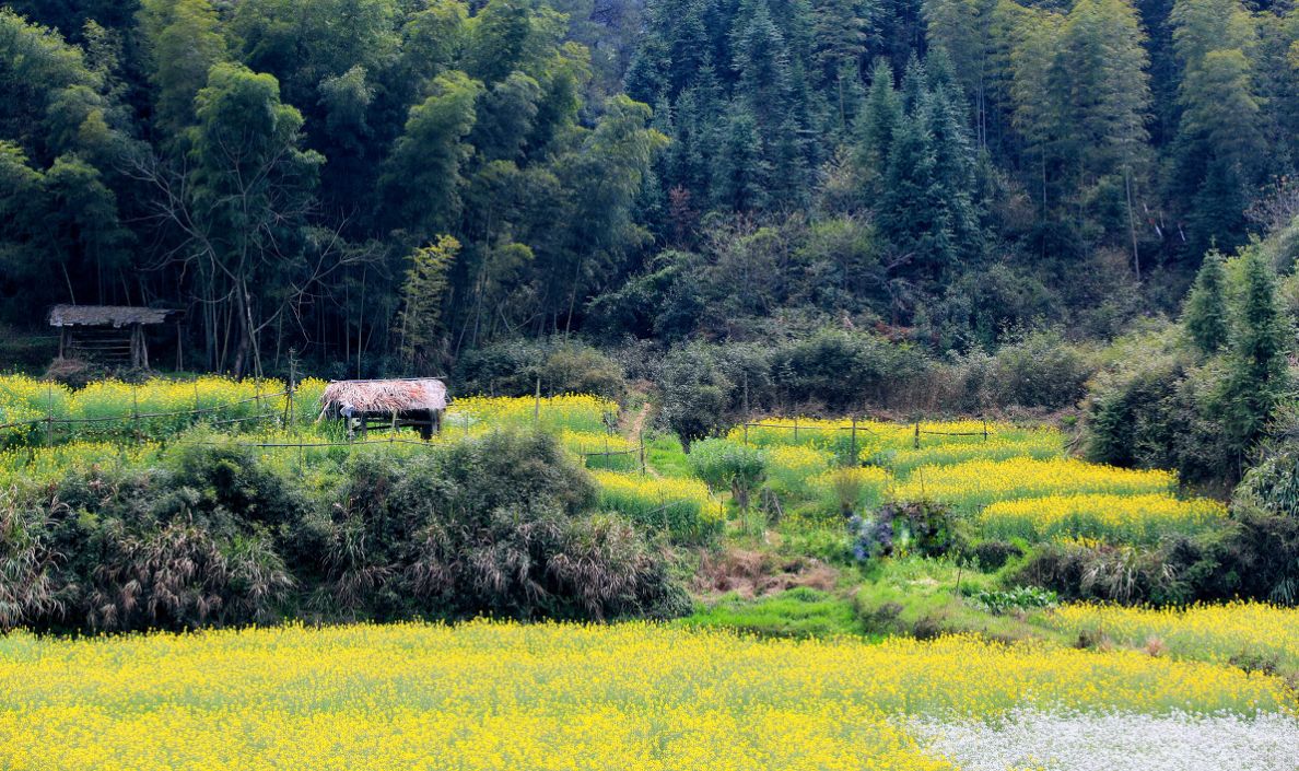 夢(mèng)回西江，南昌，廬山，婺源