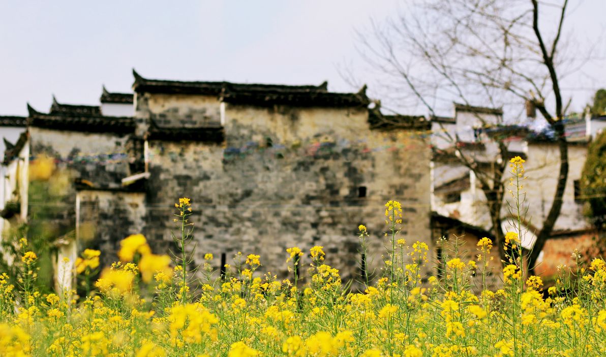 夢(mèng)回西江，南昌，廬山，婺源