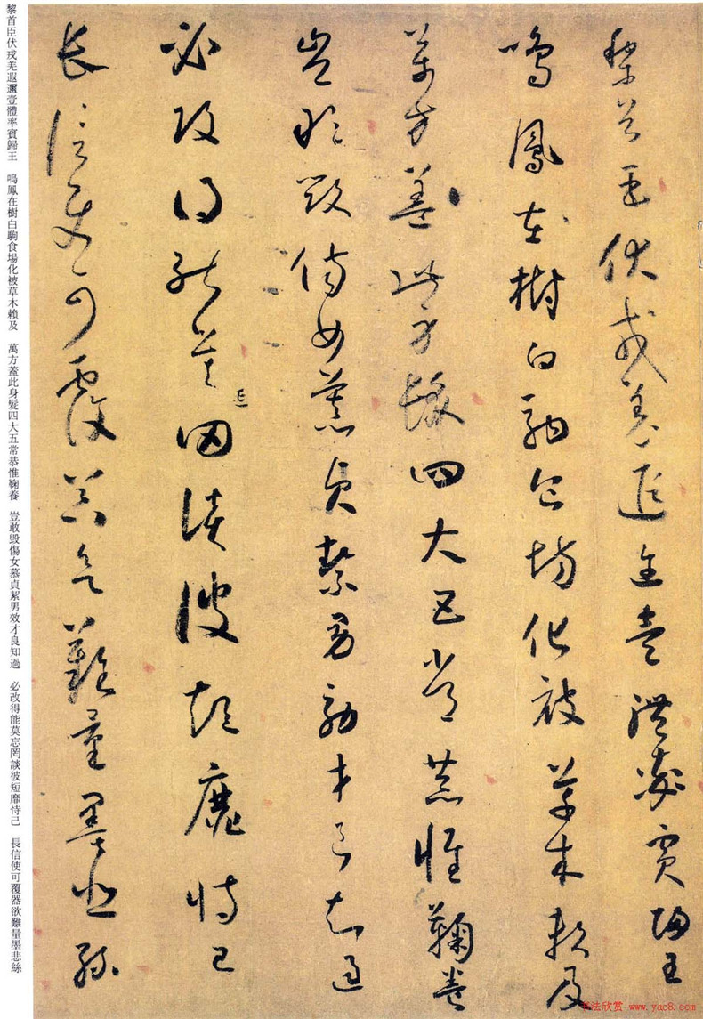 “草圣”懷素書法欣賞《小草千字文》