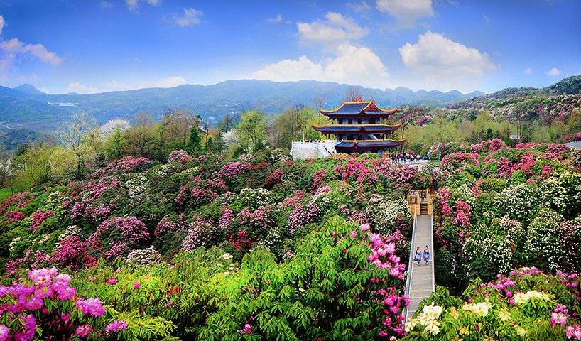 最美貴州風景，用山水風景點亮貴州文化！