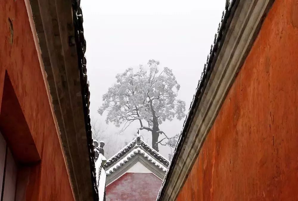 武當(dāng)山雪景攝影：雪后武當(dāng)是仙山