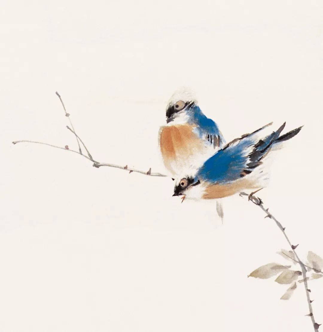 100幅禽鳥百圖，國畫鳥類美醉了！