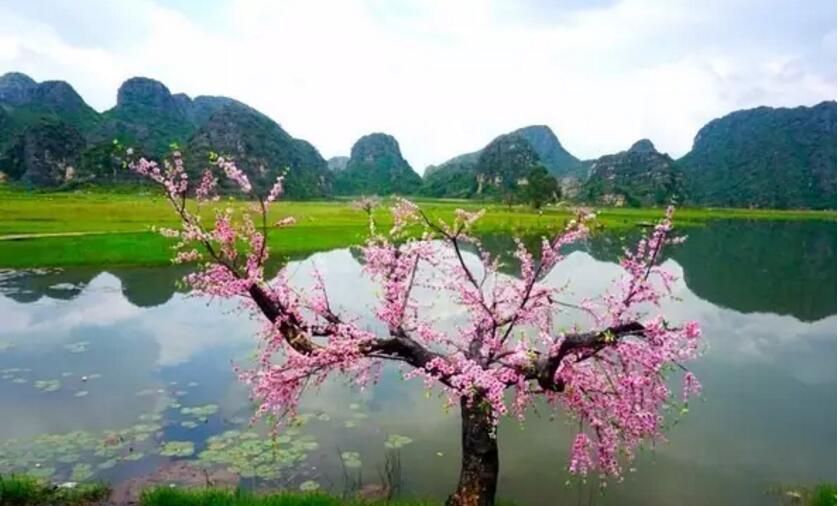 《三生三世十里桃花》的外景拍攝地！