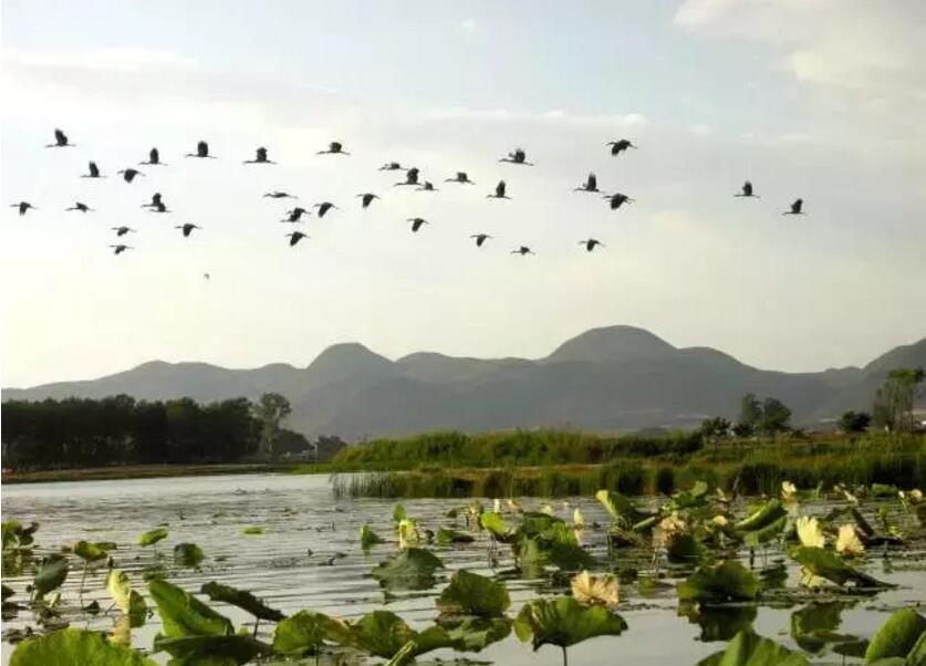 《三生三世十里桃花》的外景拍攝地！