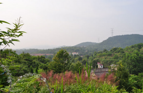 林彪祖墳風(fēng)水好嗎？揭秘林彪祖墳風(fēng)水