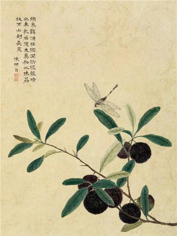 明清時(shí)代畫家陳明自繪畫的花卉動(dòng)物