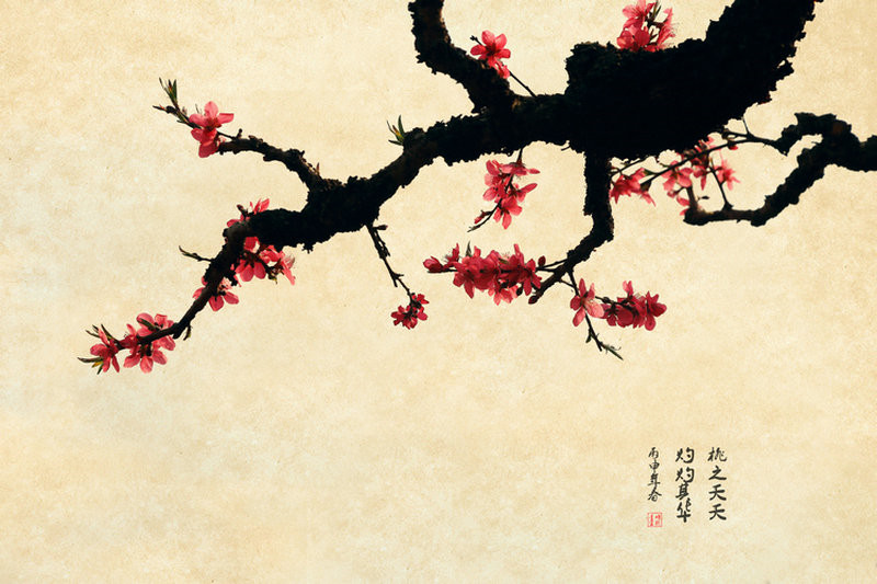 紅艷桃花繪畫(huà)國(guó)畫(huà)欣賞