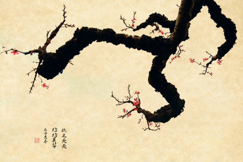 紅艷桃花繪畫(huà)國(guó)畫(huà)欣賞