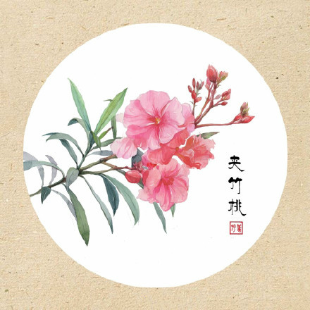 清新古風(fēng)花卉插畫，可作頭像的花卉插畫圖片