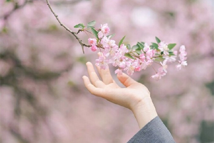 玉手撫枝古風(fēng)頭像，唯美女子纖手頭像